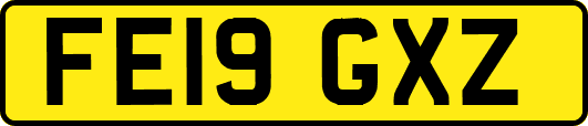 FE19GXZ