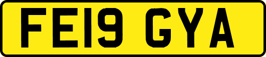 FE19GYA