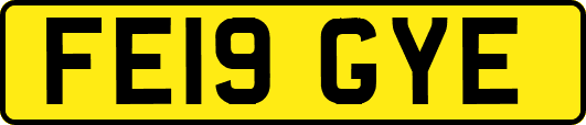 FE19GYE