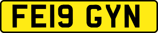 FE19GYN