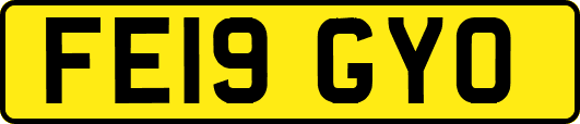 FE19GYO