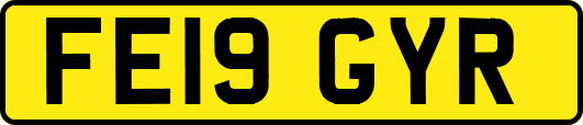 FE19GYR