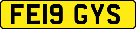 FE19GYS