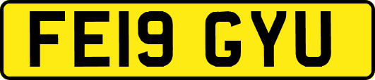 FE19GYU