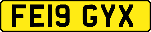 FE19GYX