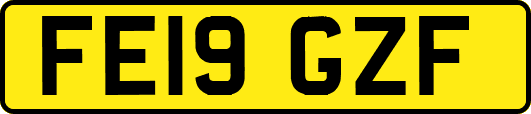FE19GZF