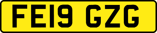 FE19GZG