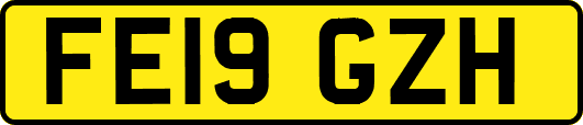 FE19GZH