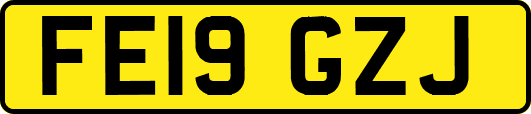 FE19GZJ