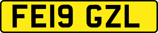 FE19GZL