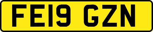FE19GZN
