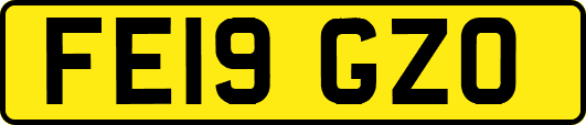 FE19GZO