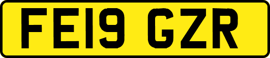 FE19GZR