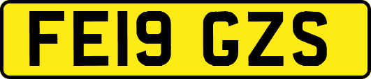 FE19GZS