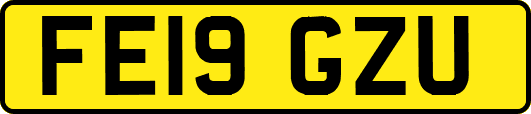 FE19GZU