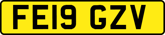 FE19GZV