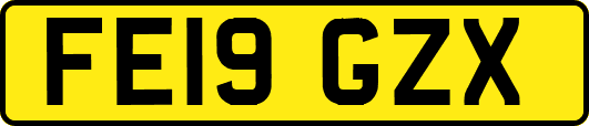 FE19GZX