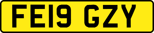 FE19GZY