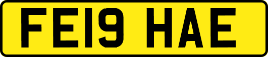 FE19HAE