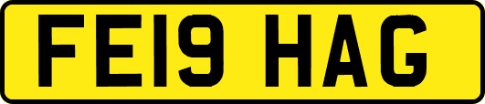 FE19HAG