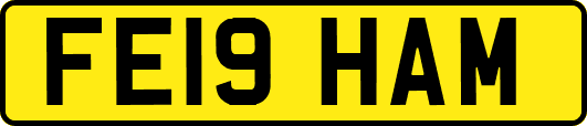 FE19HAM
