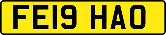 FE19HAO