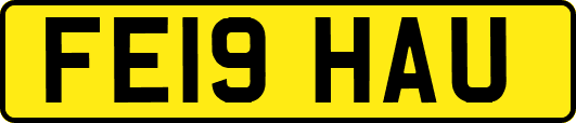 FE19HAU