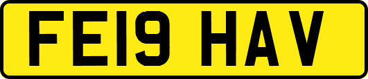 FE19HAV