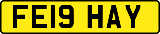 FE19HAY