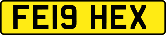FE19HEX