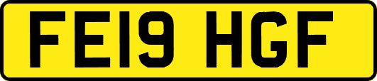 FE19HGF