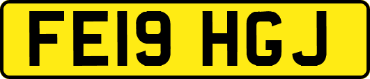 FE19HGJ