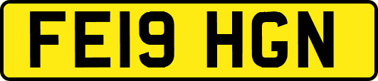 FE19HGN