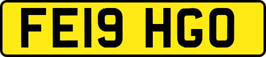 FE19HGO