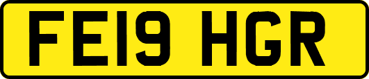 FE19HGR