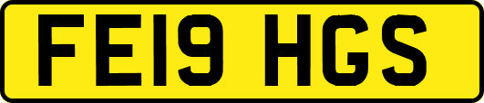 FE19HGS