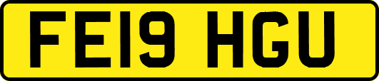 FE19HGU