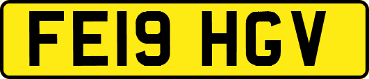 FE19HGV