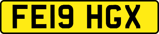 FE19HGX