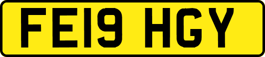 FE19HGY
