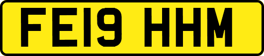 FE19HHM