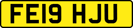 FE19HJU