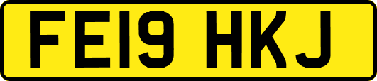 FE19HKJ