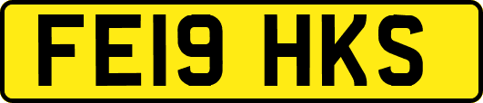 FE19HKS