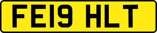 FE19HLT