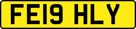 FE19HLY