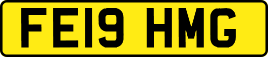 FE19HMG