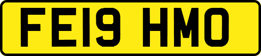 FE19HMO
