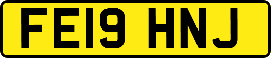 FE19HNJ