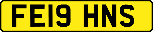 FE19HNS